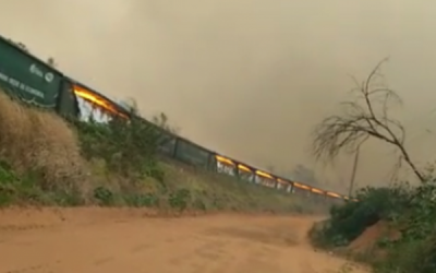 Trem da ALL pega fogo e aproximadamente 30 vagões com celulose foram incendiados