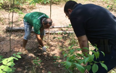 SIG faz buscas na “Cascalheira”; vítima de homicídio foi degolada 