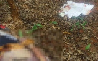 Homem é encontrado morto em plantação de eucalipto às margens da BR-262