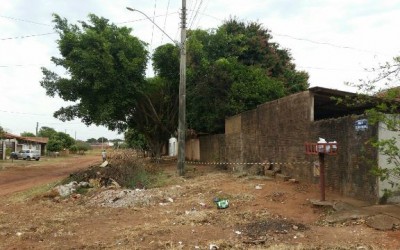 Ataque de abelhas causam pânico nos moradores do bairro Vila Nova 