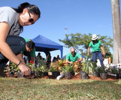 Ação “Áreas Mais Verdes” da Prefeitura planta árvores na Praça Ramez Tebet