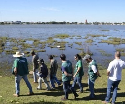 'Comoção popular' impede retirada  dos jacarés da Lagoa Maior