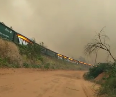 Trem da ALL pega fogo e aproximadamente 30 vagões com celulose foram incendiados