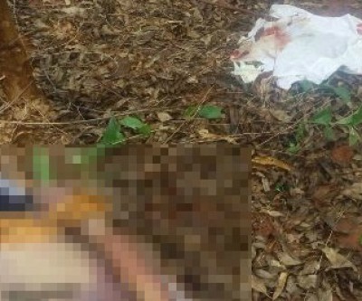 Homem é encontrado morto em plantação de eucalipto às margens da BR-262