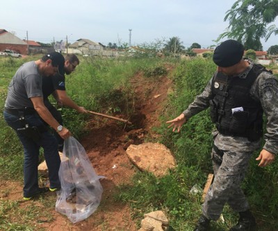 Mega operação da Polícia de Três Lagoas apreende mais de 100 quilos de drogas 