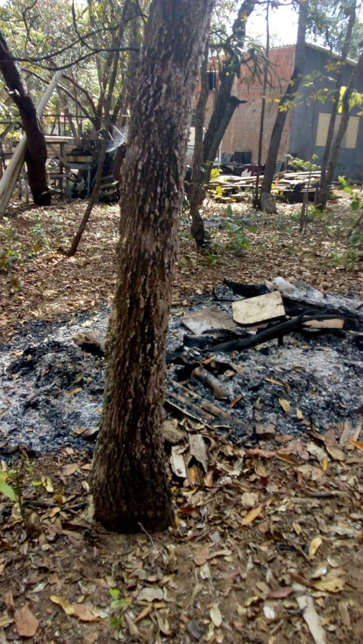 Idoso é autuado por derrubada ilegal de árvores nativas em Três Lagoas. Multa é de R$ 2 mil