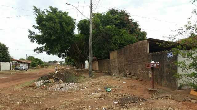 Ataque de abelhas causam pânico nos moradores do bairro Vila Nova 